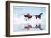 Dashing Through The Snow-Nancy Tillman-Framed Art Print