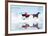 Dashing Through The Snow-Nancy Tillman-Framed Art Print