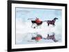 Dashing Through The Snow-Nancy Tillman-Framed Art Print