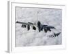 Dassault Rafale B of the French Air Force-Stocktrek Images-Framed Photographic Print