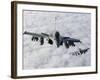 Dassault Rafale B of the French Air Force-Stocktrek Images-Framed Photographic Print