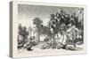 Date and Doom Palms. Egypt, 1879-null-Stretched Canvas