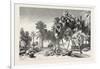 Date and Doom Palms. Egypt, 1879-null-Framed Giclee Print