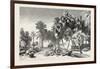 Date and Doom Palms. Egypt, 1879-null-Framed Giclee Print