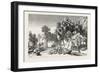 Date and Doom Palms. Egypt, 1879-null-Framed Giclee Print