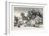 Date and Doom Palms. Egypt, 1879-null-Framed Giclee Print