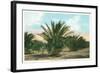 Date Gardens, Coachella Valley-null-Framed Art Print