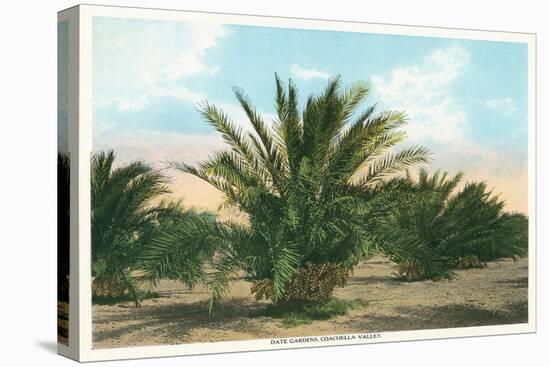 Date Gardens, Coachella Valley-null-Stretched Canvas