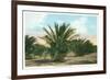 Date Gardens, Coachella Valley-null-Framed Premium Giclee Print