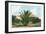 Date Gardens, Coachella Valley-null-Framed Art Print