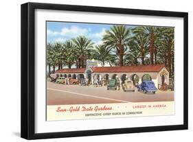 Date Gardens, Indio, California-null-Framed Art Print