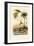 Date Palm, 1833-39-null-Framed Giclee Print