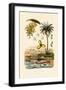 Date Palm, 1833-39-null-Framed Giclee Print