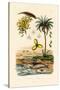 Date Palm, 1833-39-null-Stretched Canvas