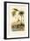 Date Palm, 1833-39-null-Framed Premium Giclee Print