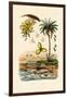 Date Palm, 1833-39-null-Framed Giclee Print