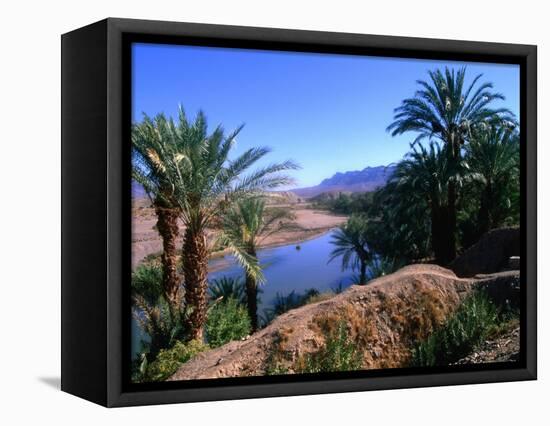 Date Palms in the Draa Valley, Draa Valley, Ouarzazate, Morocco-John Elk III-Framed Stretched Canvas