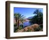Date Palms in the Draa Valley, Draa Valley, Ouarzazate, Morocco-John Elk III-Framed Photographic Print