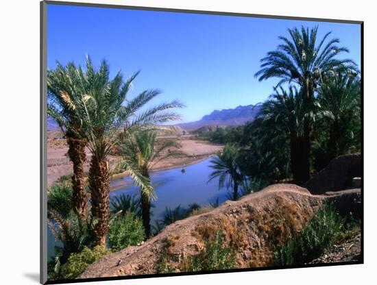 Date Palms in the Draa Valley, Draa Valley, Ouarzazate, Morocco-John Elk III-Mounted Photographic Print