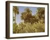 Date palms on Elephantine Island, Egypt-English Photographer-Framed Giclee Print