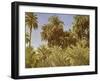 Date palms on Elephantine Island, Egypt-English Photographer-Framed Giclee Print