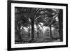 Date Palms-Dorothea Lange-Framed Premium Giclee Print