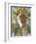 Date Picker, Nizwa, Oman, Gulf States, Middle East-Peter Ryan-Framed Photographic Print