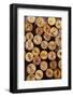 Dated Wine Bottle Corks on the Wooden Background-Dasha Petrenko-Framed Photographic Print