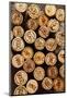 Dated Wine Bottle Corks on the Wooden Background-Dasha Petrenko-Mounted Photographic Print
