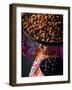 Dates, Sakkarra, Saqqara, Egypt-Kenneth Garrett-Framed Photographic Print