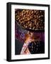 Dates, Sakkarra, Saqqara, Egypt-Kenneth Garrett-Framed Photographic Print