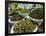 Dates, Walnuts and Figs For Sale in the Souk of the Old Medina of Fez, Morocco, North Africa-Michael Runkel-Framed Photographic Print