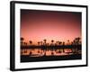 Dattelpalmen, Phoenix Spec., See, Abendrot, Palmen, Wasser, Abend-Thonig-Framed Photographic Print