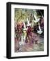 Daturas in Monet'sGarden-Mary Smith-Framed Giclee Print