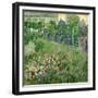 Daubigny's Garden, 1890-Vincent van Gogh-Framed Giclee Print