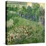 Daubigny's Garden, 1890-Vincent van Gogh-Stretched Canvas