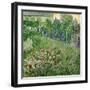 Daubigny's Garden, 1890-Vincent van Gogh-Framed Giclee Print