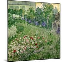 Daubigny's Garden, 1890-Vincent van Gogh-Mounted Giclee Print