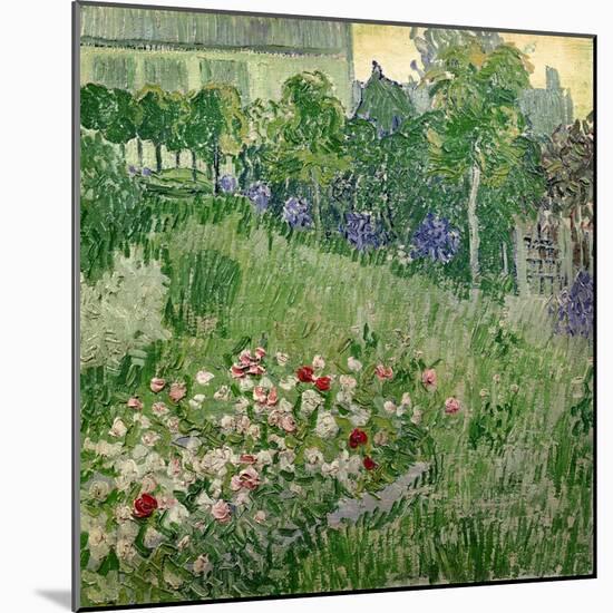 Daubigny's Garden, 1890-Vincent van Gogh-Mounted Giclee Print