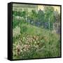 Daubigny's Garden, 1890-Vincent van Gogh-Framed Stretched Canvas