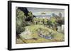 Daubigny's Garden by Vincent Van Gogh-Vincent van Gogh-Framed Giclee Print