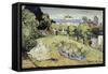 Daubigny's Garden by Vincent Van Gogh-Vincent van Gogh-Framed Stretched Canvas