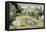 Daubigny's Garden by Vincent Van Gogh-Vincent van Gogh-Framed Stretched Canvas