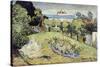 Daubigny's Garden by Vincent Van Gogh-Vincent van Gogh-Stretched Canvas