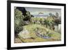 Daubigny's Garden by Vincent Van Gogh-Vincent van Gogh-Framed Giclee Print