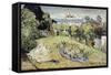 Daubigny's Garden by Vincent Van Gogh-Vincent van Gogh-Framed Stretched Canvas