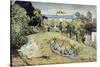 Daubigny's Garden by Vincent Van Gogh-Vincent van Gogh-Stretched Canvas