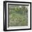 Daubigny's Garden-Vincent Van Gogh-Framed Giclee Print