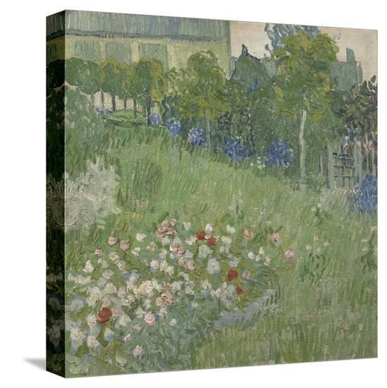 Daubigny's Garden-Vincent Van Gogh-Stretched Canvas