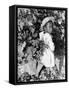 Daughter of Sharecropper, Lonnie Fair, in Field Picking Cotton-Alfred Eisenstaedt-Framed Stretched Canvas